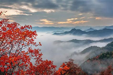 云台山红叶进入最佳观赏期！ - 本省资讯 - 河南旅游网