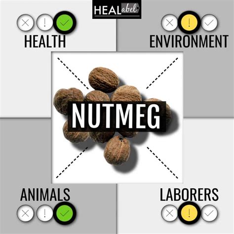 Nutmeg Benefits, Side Effects: Is Nutmeg Vegan, Acidic, Alkaline?