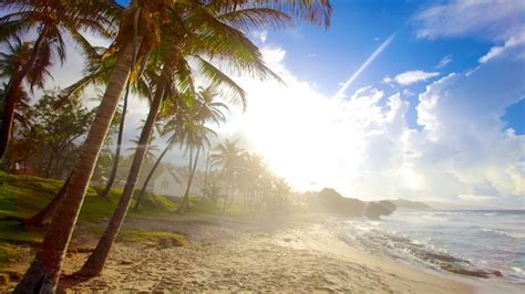 Barbados All inclusive Holidays & Deals 2024/2025 | Expedia.co.uk