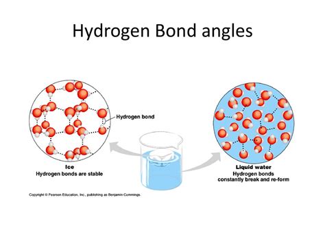 Biochemistry: Water Part 1 - ppt download