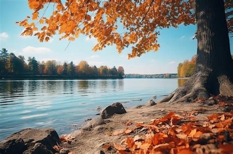 Premium Photo | Park in autumn with a lake