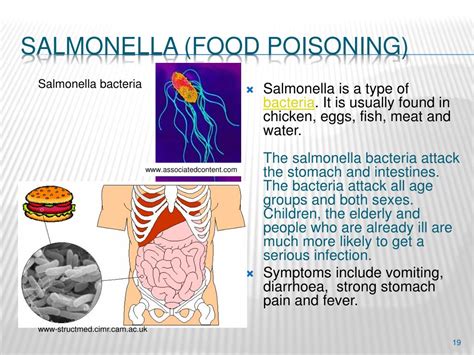 PPT - Microbes and Diseases PowerPoint Presentation, free download - ID:850424