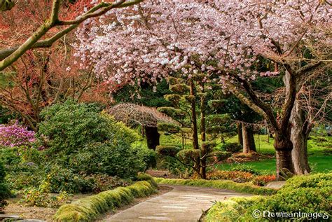 The Japanese Garden in Spring - Ashland Oregon LocalsGuide