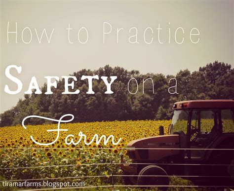 Tiramar Farms: Safety on a Farm