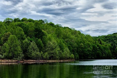 Stonewall Jackson Lake Wildlife Management Area Photograph by Thomas R Fletcher