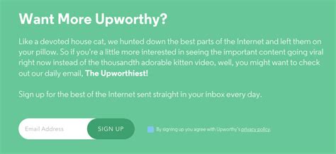 7 Best Opt-in Email Examples & the Perfect Places to Use Them