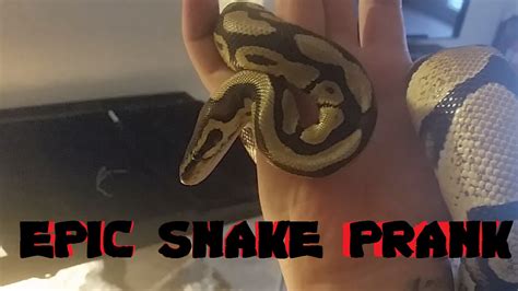 Snake Pranks on Roommate, Freaks Out! - YouTube