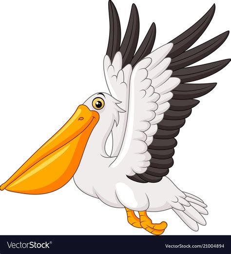 Cartoon pelican flying isolated on white vector image on VectorStock | 鳥, 鵜