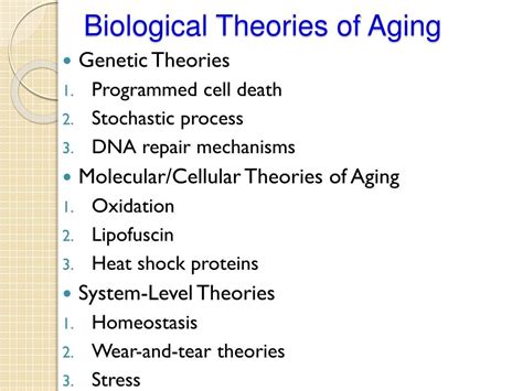 Aging Theory - Bank2home.com