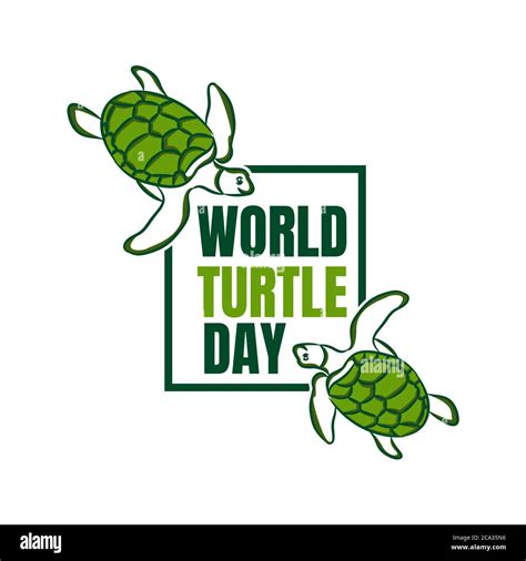 vector of logo for world turtle day swim in the sea with in square. world turtle day on may 23 ...