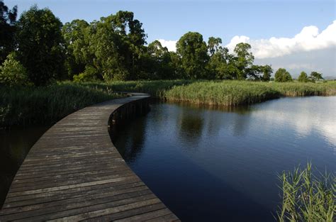 Hong Kong Wetland Park - Bird Watching | 香港濕地公園觀鳥 | The Hong Kong Less Traveled