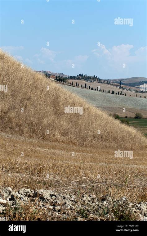 Crete Senesi - The landscape of the Tuscany. Italy Stock Photo - Alamy