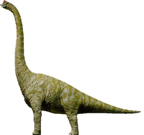 Brachiosaurus From Jurassic Park 3 by JurassicEarth on DeviantArt