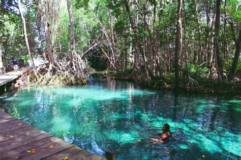 Visit Celestun Paradise in Yucatan Mexico | Mexico Finder