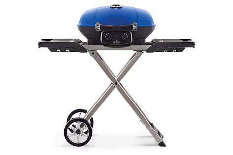 The 5 Best Portable Gas Grills, Tested & Reviewed