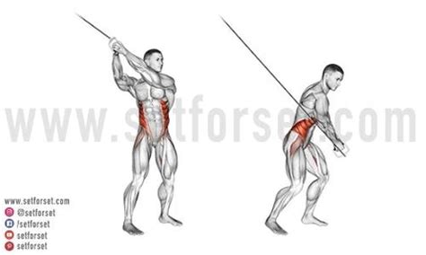 17 Best Cable Ab & Oblique Exercises for Core Workouts - SET FOR SET