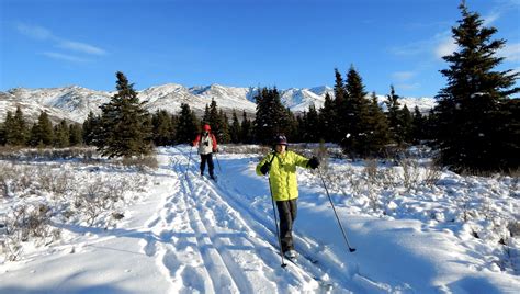 Winter Trip to Alaska's Denali National Park: ROAM Family Adventure