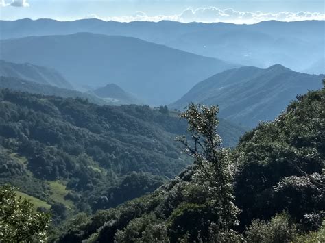 LOS MARGINADOS: Mexico’s Forests, Both Victim of and Solution to Climate Change | Inter Press ...