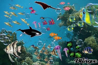 GIF aquarium - animated GIF on GIFER