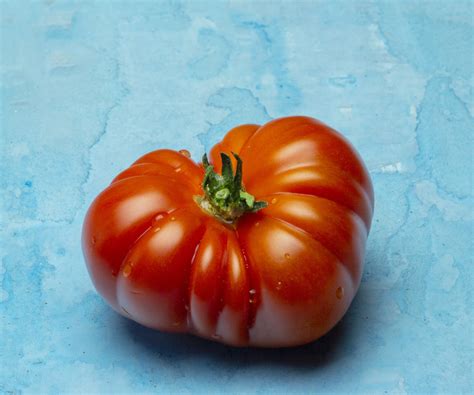 Tomato varieties: 8 of the best types of tomatoes to grow | Homes & Gardens