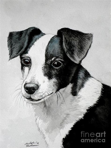 Black and White Mutt Dog Painting by Christopher Shellhammer - Pixels