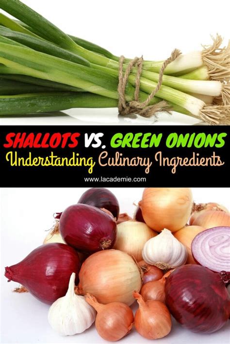 Shallots Vs Onions In Soup at Jacqueline Anderson blog