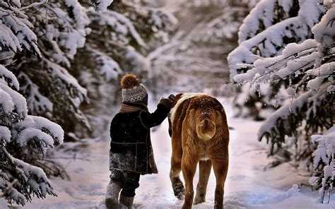 snow, Winter, Boy, Children, Cold, Kids, Dog, Animals, Friendship, Walk ...