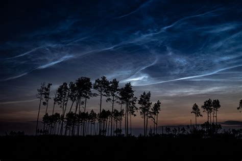 EarthSky | Noctilucent clouds: The most in 15 years!