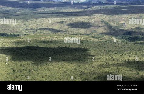 Brasilia national park Stock Videos & Footage - HD and 4K Video Clips ...