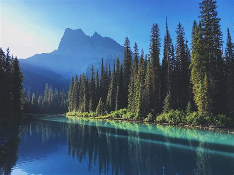 Photo of Lake Near Tall Trees · Free Stock Photo