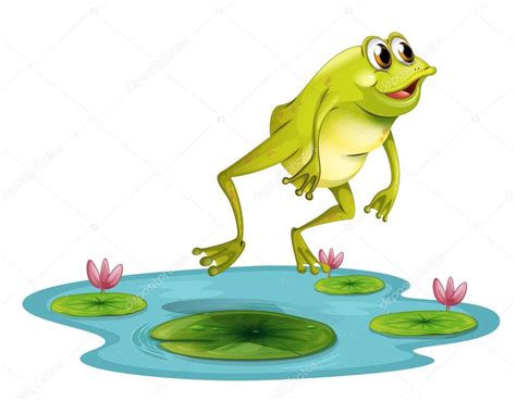 A jumping frog at the pond — Stock Vector © interactimages #26162575