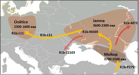 Stories told by DNA: June 2015