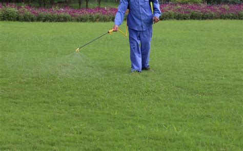 Lawn Pest Control Orlando - Protex Lawn and Pest Control