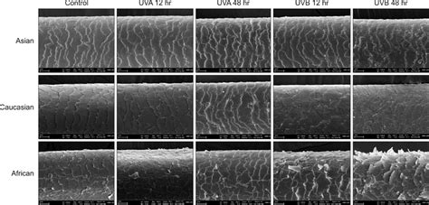 Microscopic Hair Comparison - California Innocence Project