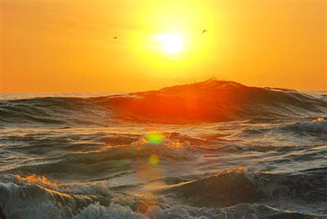 Free photo: Photography of Ocean Wave during Golden Hour - Beach ...