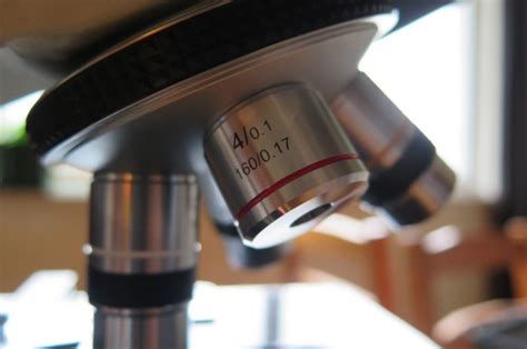 What are the Types of Objective Lenses on a Microscope?