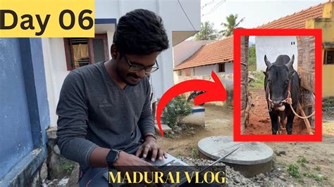 Madurai Jallikattu Documentary vlog | Day 06 - YouTube