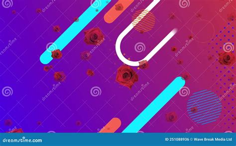 Animation of Red Roses Over Colorful Shapes on Purple Background Stock Footage - Video of motion ...