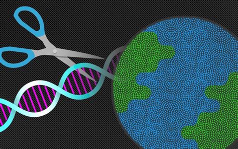 Thermal • News • Scribe Therapeutics launches a platform for CRISPR