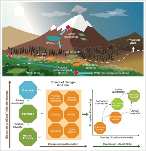 Monitoring Biodiversity and Ecosystem Services in Colombia's High ...