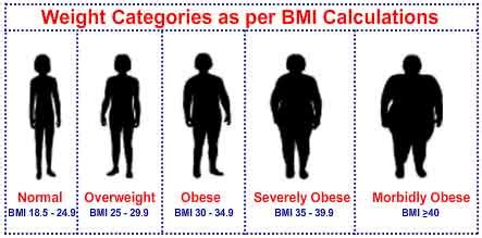 Higher BMI may not raise risk of heart attack, death, finds twin study ...