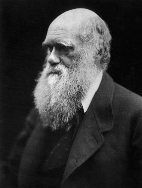 Charles Darwin, el genio de la evolución