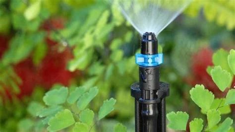 Micro Irrigation Sprinklers at Rs 100 | Irrigation Sprinklers in Jaipur | ID: 15600238948