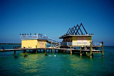 21 Best Miami Tours for Sightseeing, Eco-Excursions and More