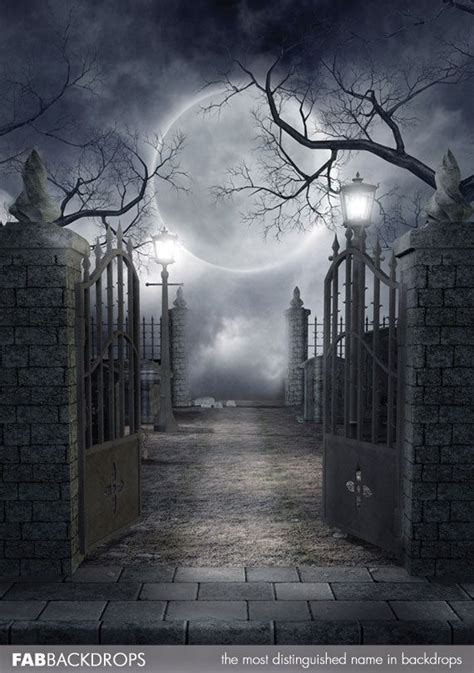 Halloween Graveyard Backdrop | Halloween photography, Halloween photography backdrop, Halloween ...