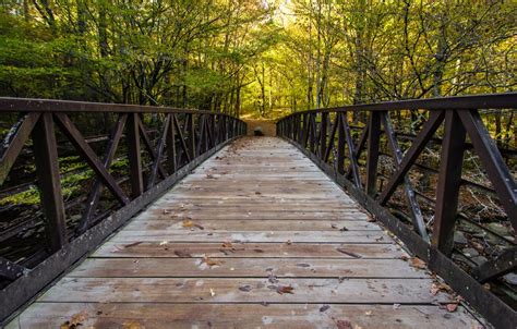 5 of the Best Hiking Trails Near Gatlinburg You’ll Love