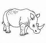 Charging Rhino Coloring Page sketch template