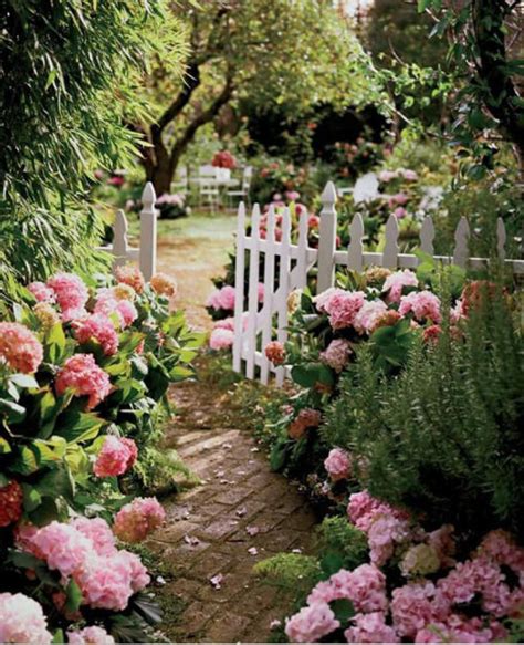 Pink Garden Pictures, Photos, and Images for Facebook, Tumblr, Pinterest, and Twitter