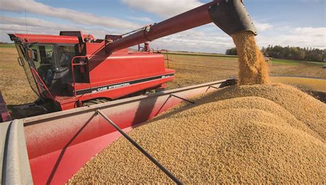 10 tips for maximizing soybean harvest