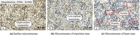 Microstructure of the original sample | Download Scientific Diagram